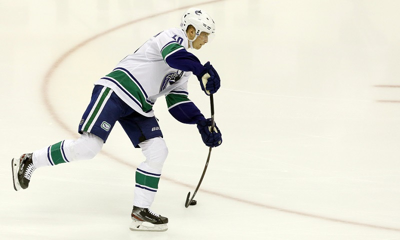 NHL DFS Expert Survey: Tuesday, November 12th