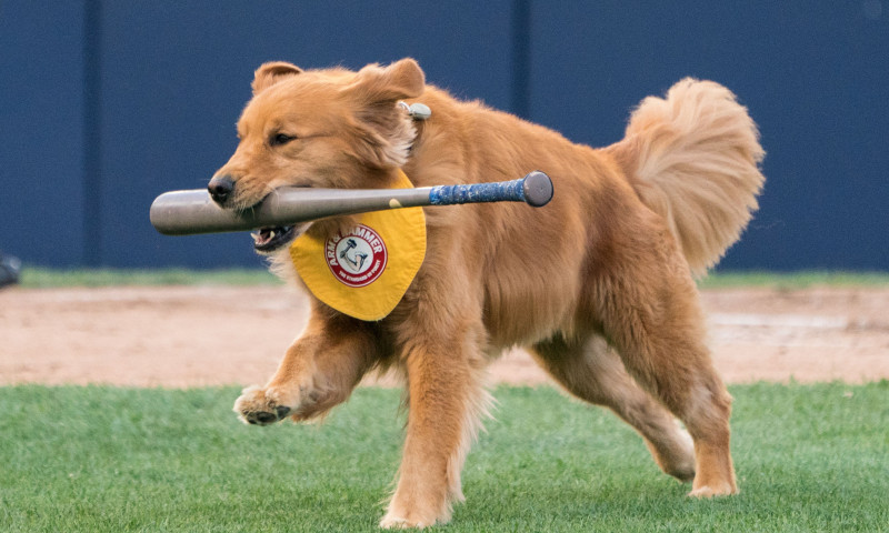 Covering The Bases: Sunday, July 22nd