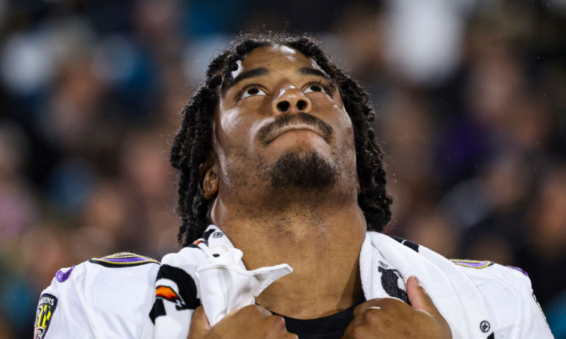 NFL DFS Expert Survey: Divisional Round - Ravens vs. Bills