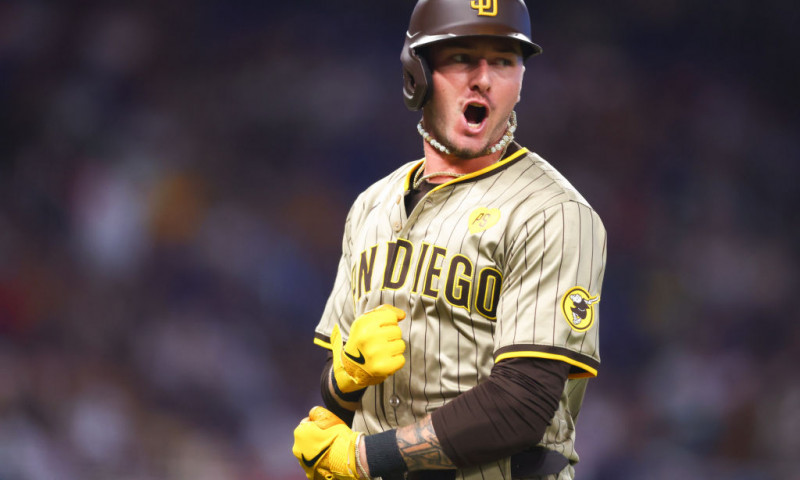 MLB DFS Expert Survey: Sunday, August 11th