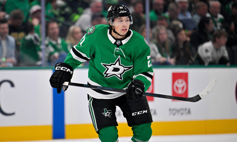 NHL DFS Expert Survey: Tuesday, October 21st