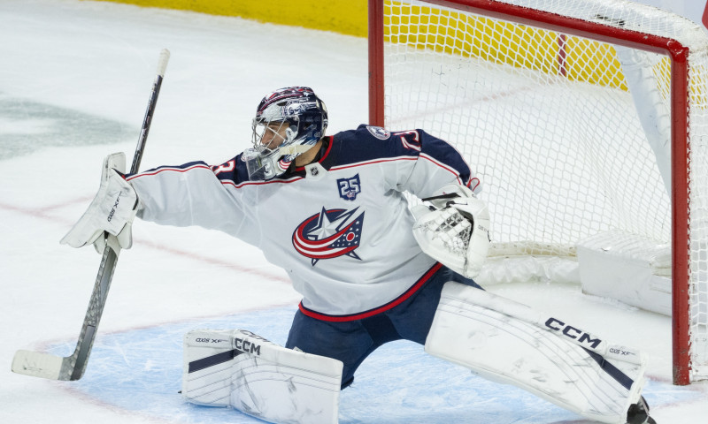 NHL DFS Expert Survey: Wednesday, December 31st