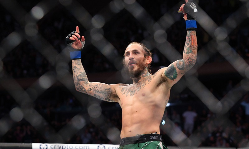 MMA Expert Survey - UFC Fight Night: Vera vs. Cruz