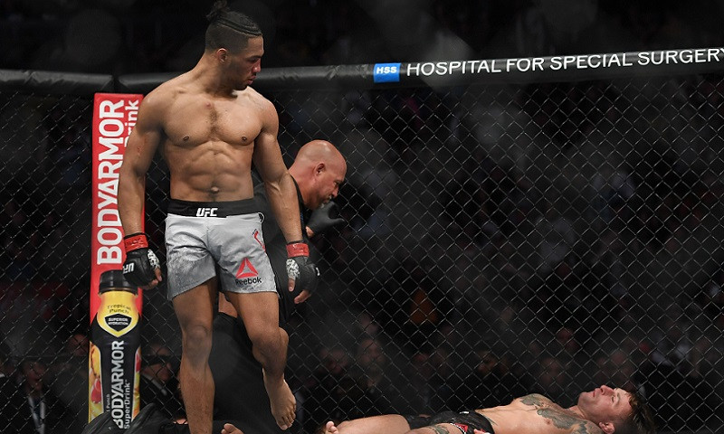 H3budda's MMA Breakdown - UFC Fight Night: Barboza vs. Chikadze