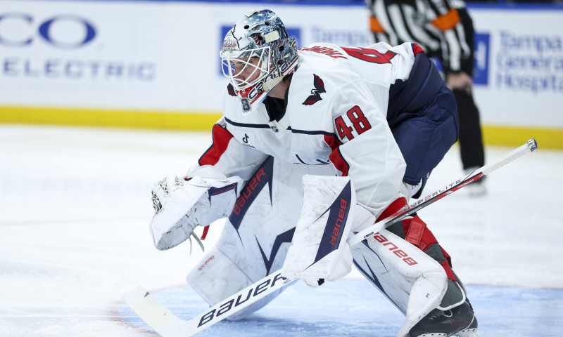 NHL DFS Expert Survey: Thursday, November 13th