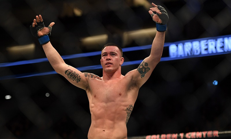 UFC 225: Whittaker vs. Romero Quick Picks