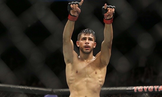 UFC Fight Night: Rodriguez vs. Caceres Quick Picks