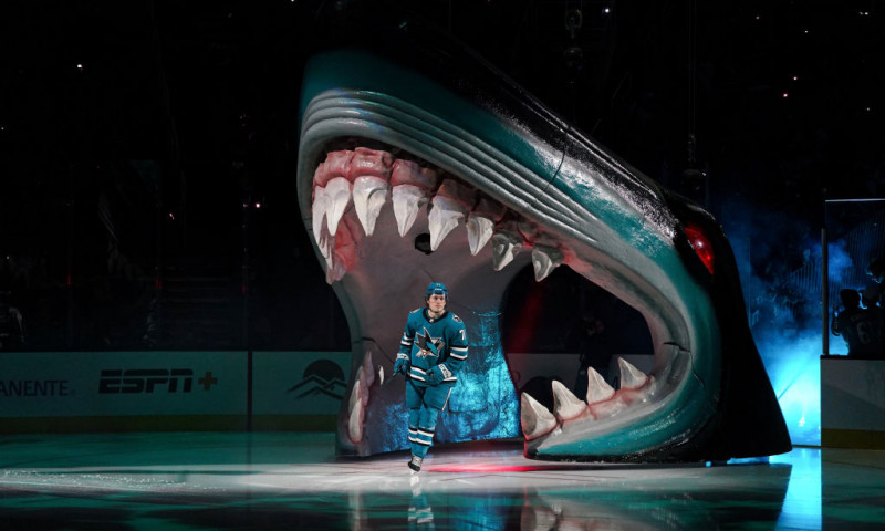 NHL DFS Expert Survey: Saturday, March 29th