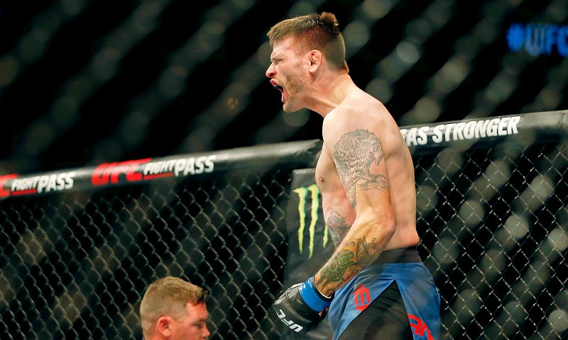 UFC 255: A Contrarian Take - Figueiredo vs. Perez