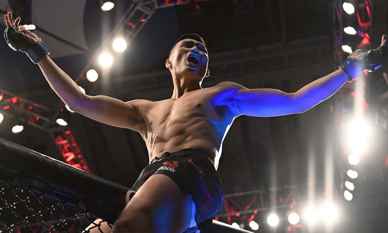 MMA DFS Expert Survey: UFC Fight Night