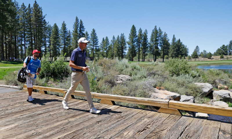 UFC Fight Night: Werdum vs. Volkov Quick Picks