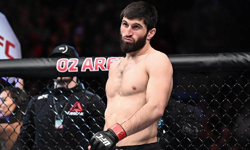 MMA Expert Survey - UFC Fight Night: Rozenstruik vs. Gane