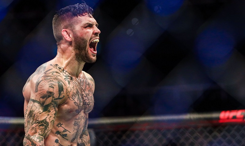 UFC Fight Night: A Contrarian Take - Figueiredo vs. Moreno