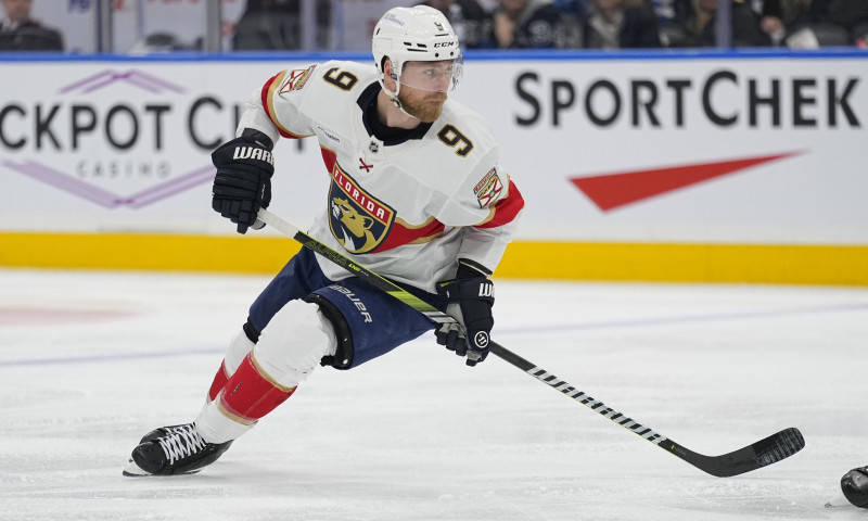 NHL DFS Expert Survey: Monday, April 14th