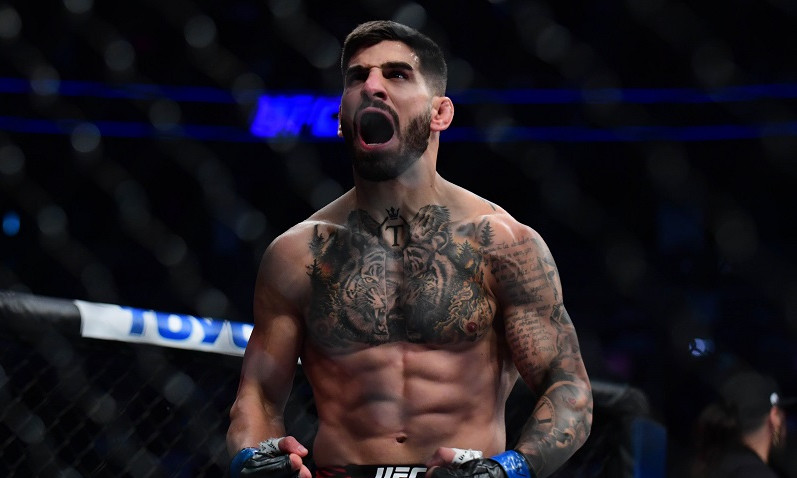 MMA Expert Survey - UFC Fight Night: UFC Fight Night: Volkov vs. Aspinall