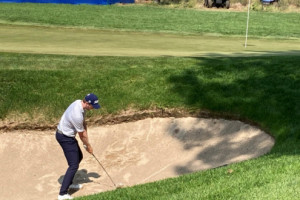 vincent-whaley-800x480