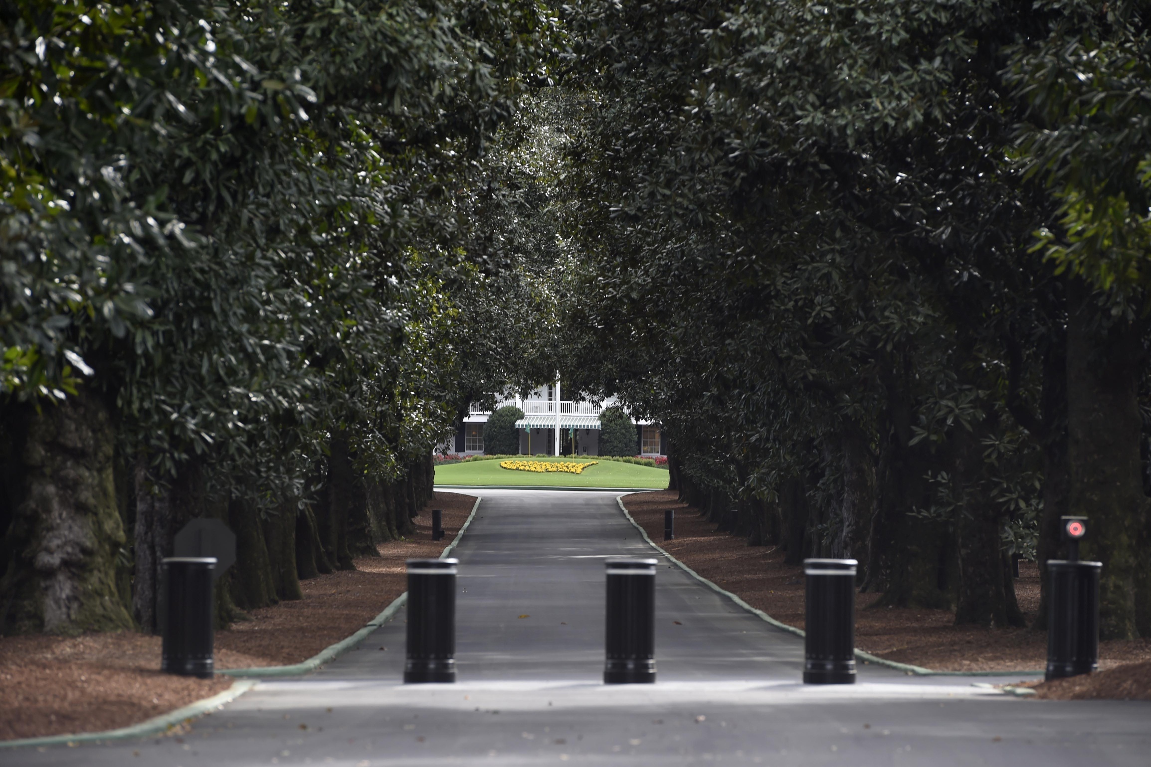 Magnolia Lane at Augusta National Golf Club
