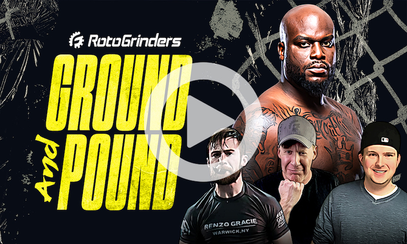 MMA Ground and Pound Premium Breakdown: UFC Fight Night - Lewis vs Spivak