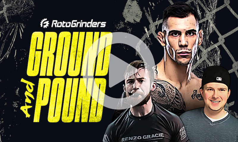 MMA Ground and Pound Premium Breakdown: UFC Fight Night - Blachowicz vs Rakic