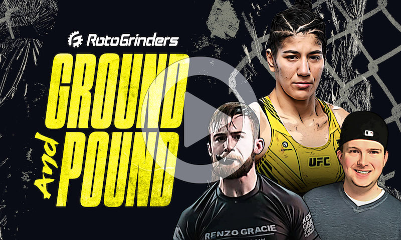 MMA Ground and Pound Premium Breakdown: UFC Fight Night - Holm vs Vieira