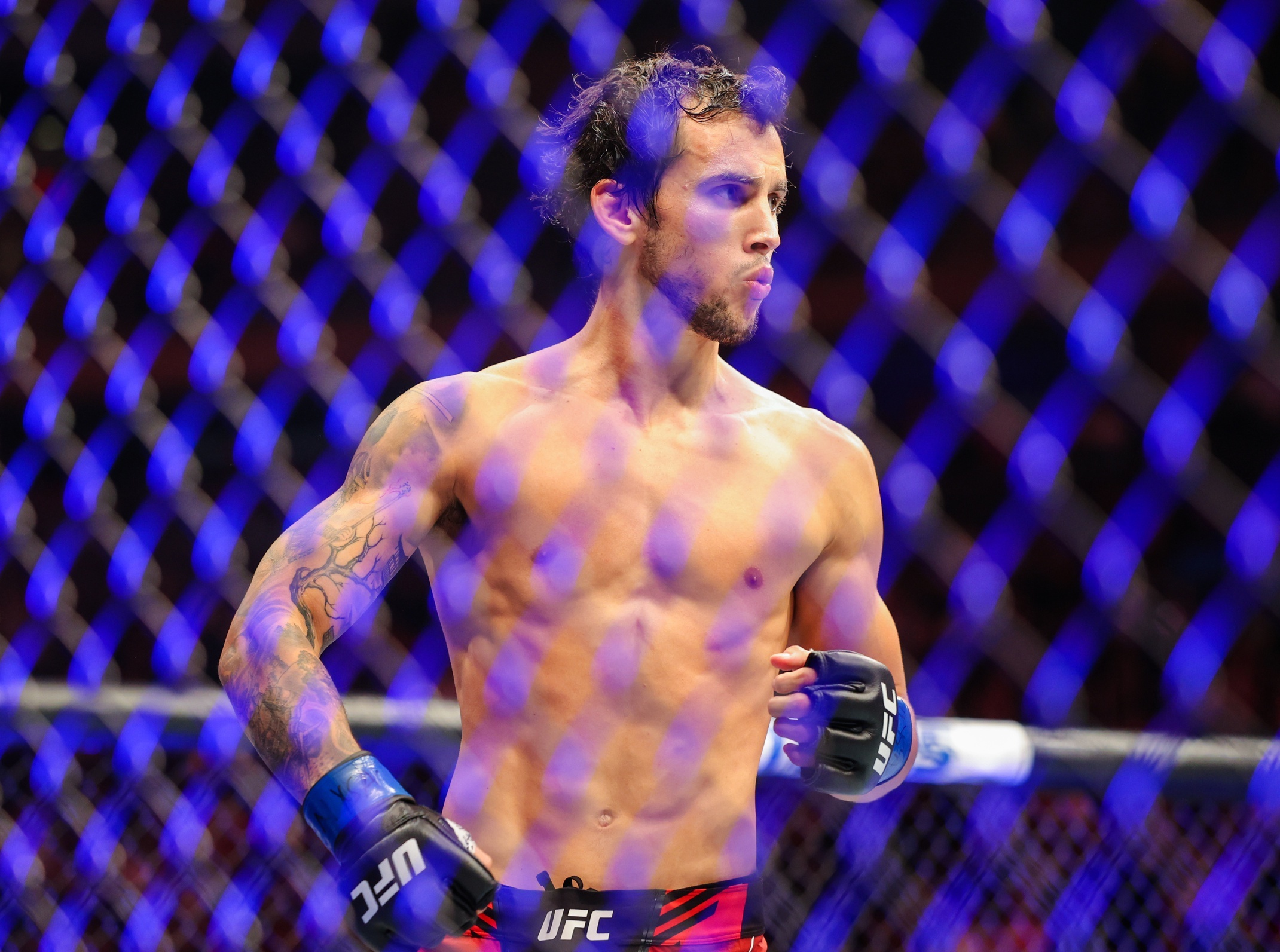 UFC fighter Puelles