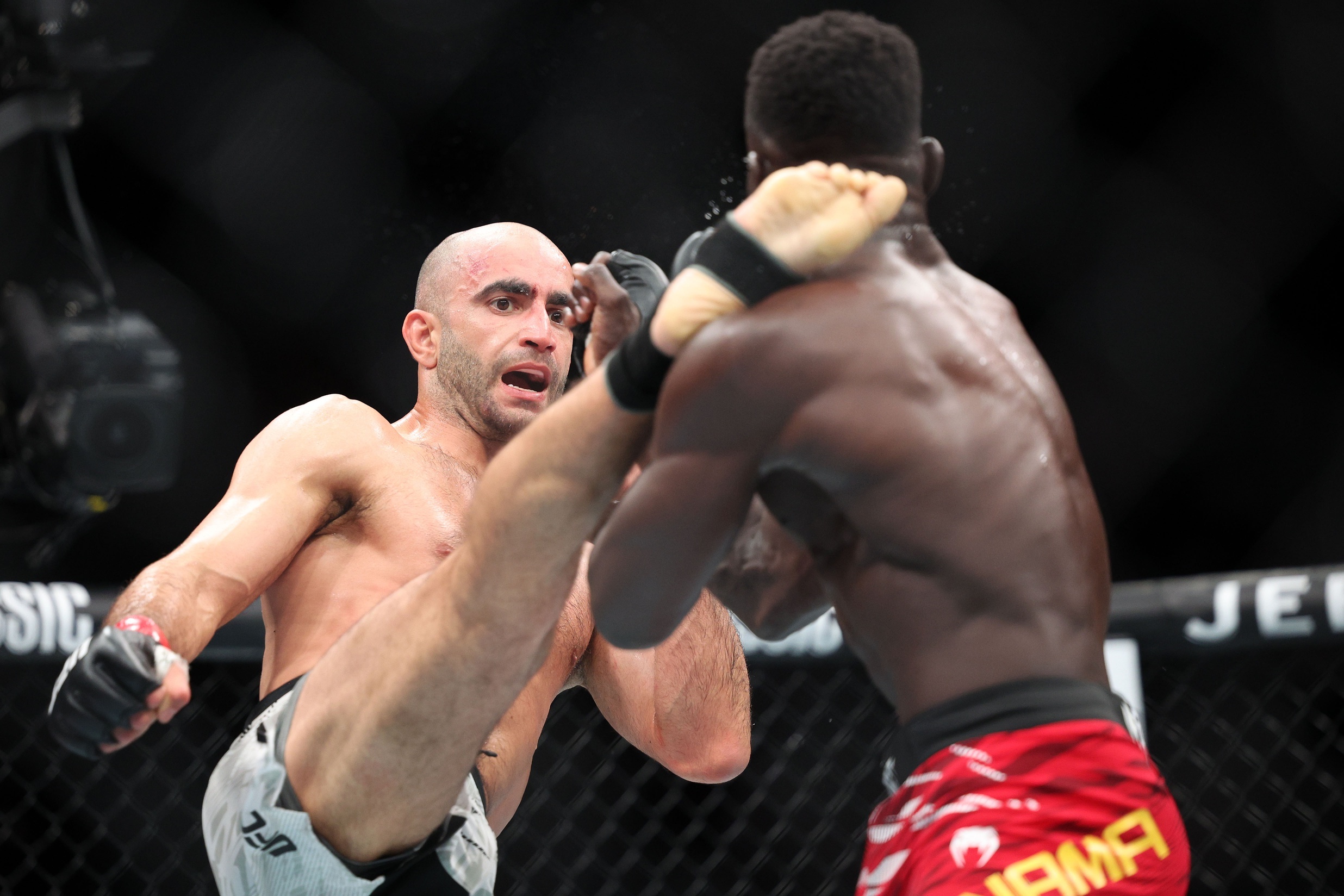 Chikadze of the UFC Chikadze of the UFC