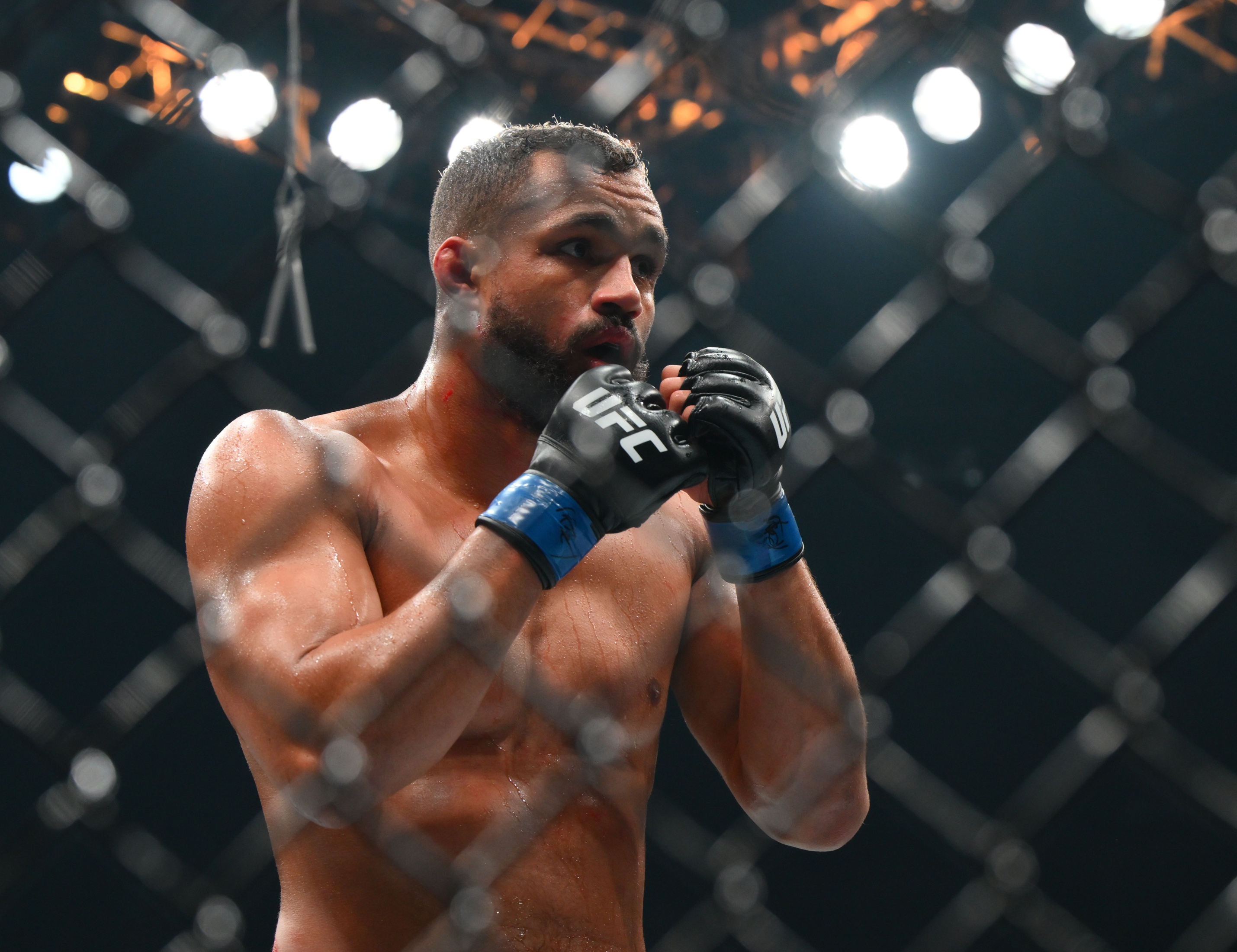Walker and Menifield of the UFC