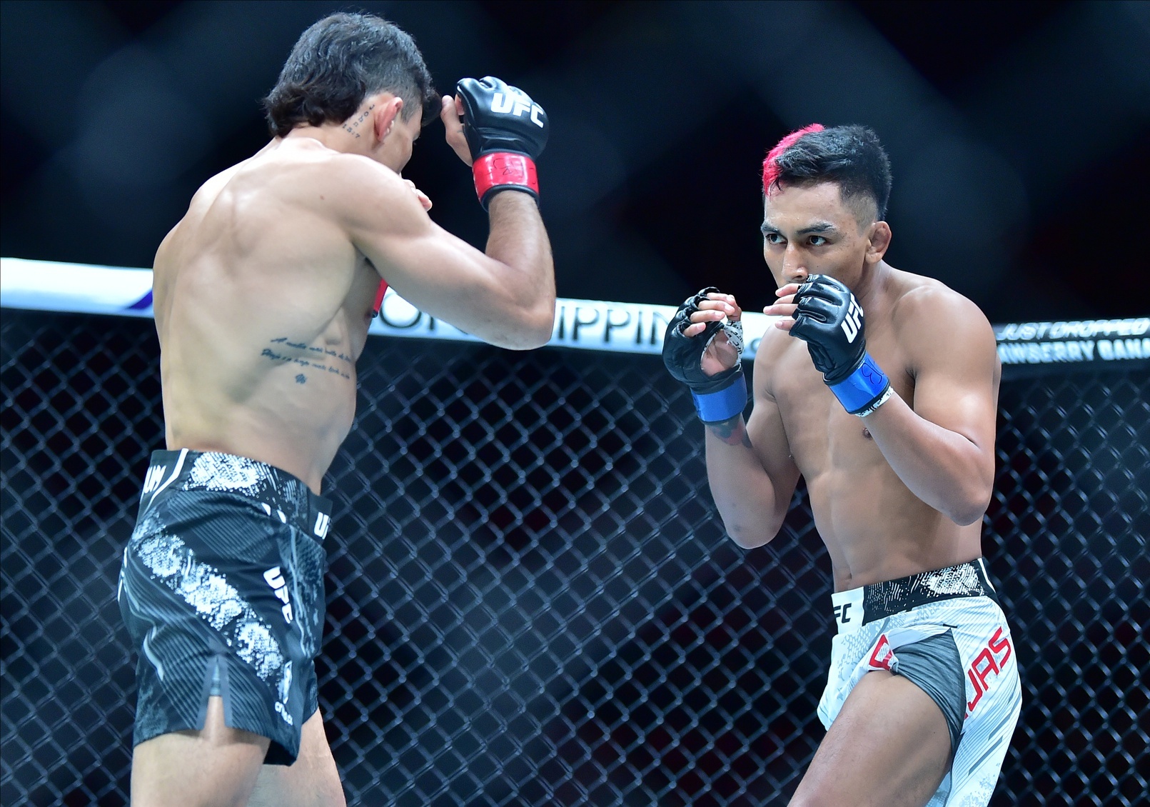 Borjas of the UFC Borjas of the UFC
