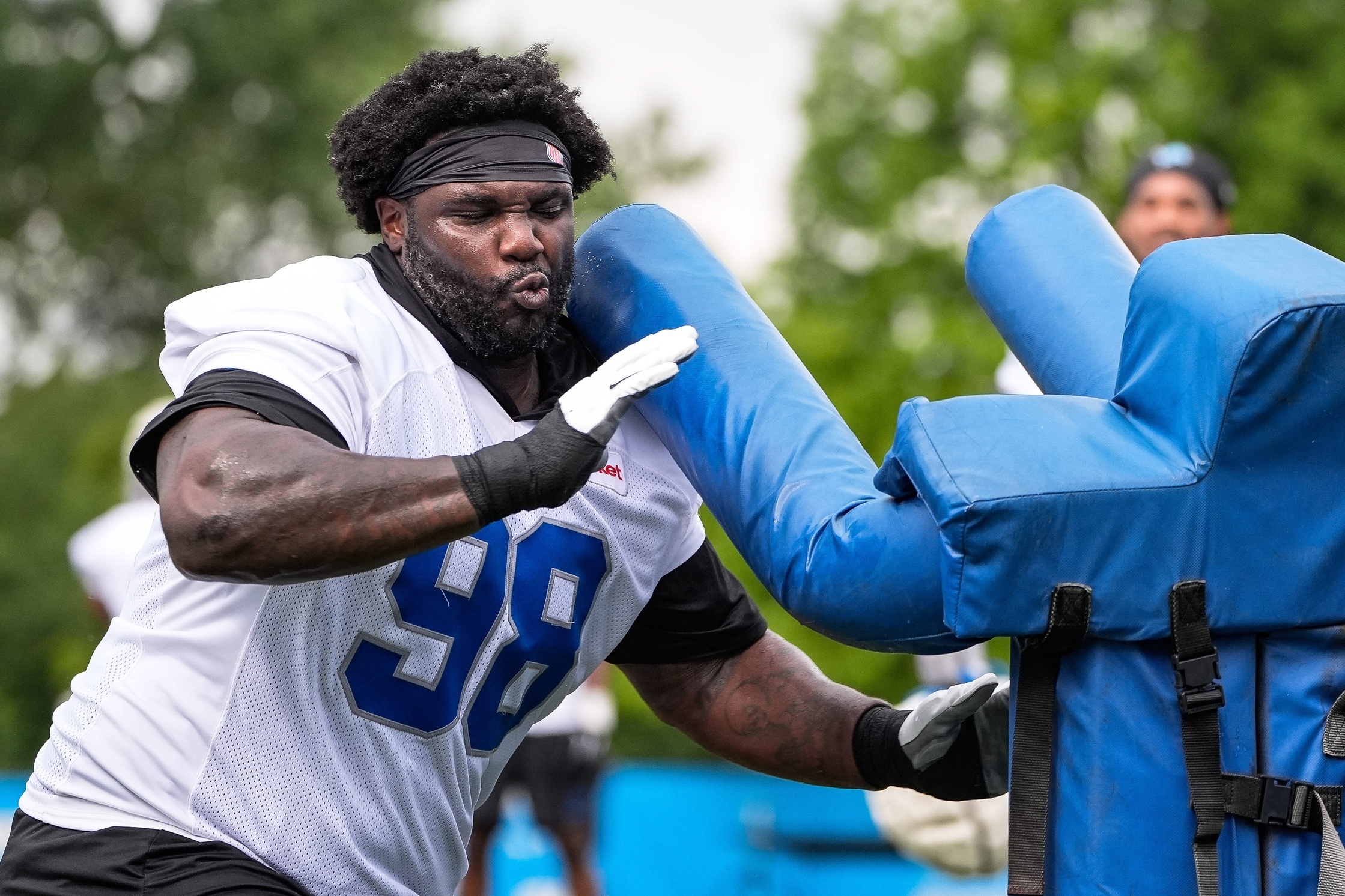 Lions defensive tackle Reader