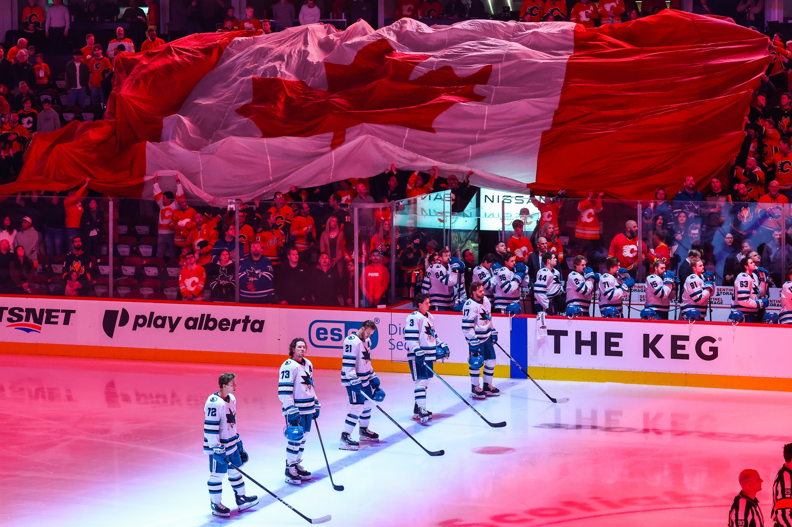 NHL Projected Goalies & Lines