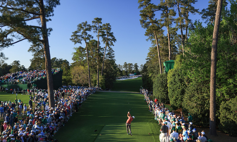 augusta800