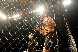 Daily Fantasy Takedown: UFC Fight Night