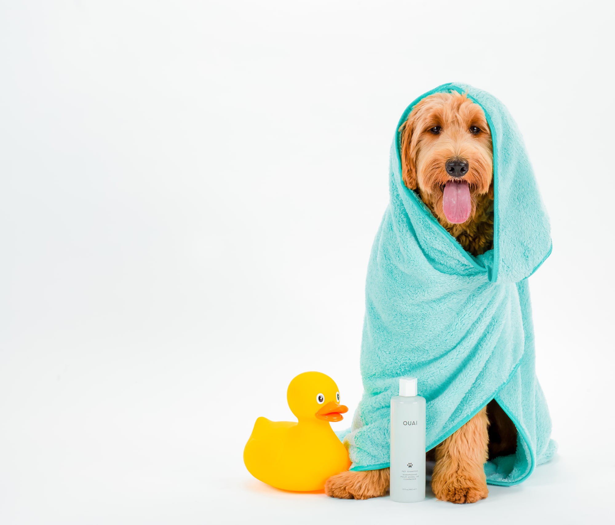 Adorable Photos Ouai Pet Shampoo By Celebrity Hair Stylist Jen Atkin