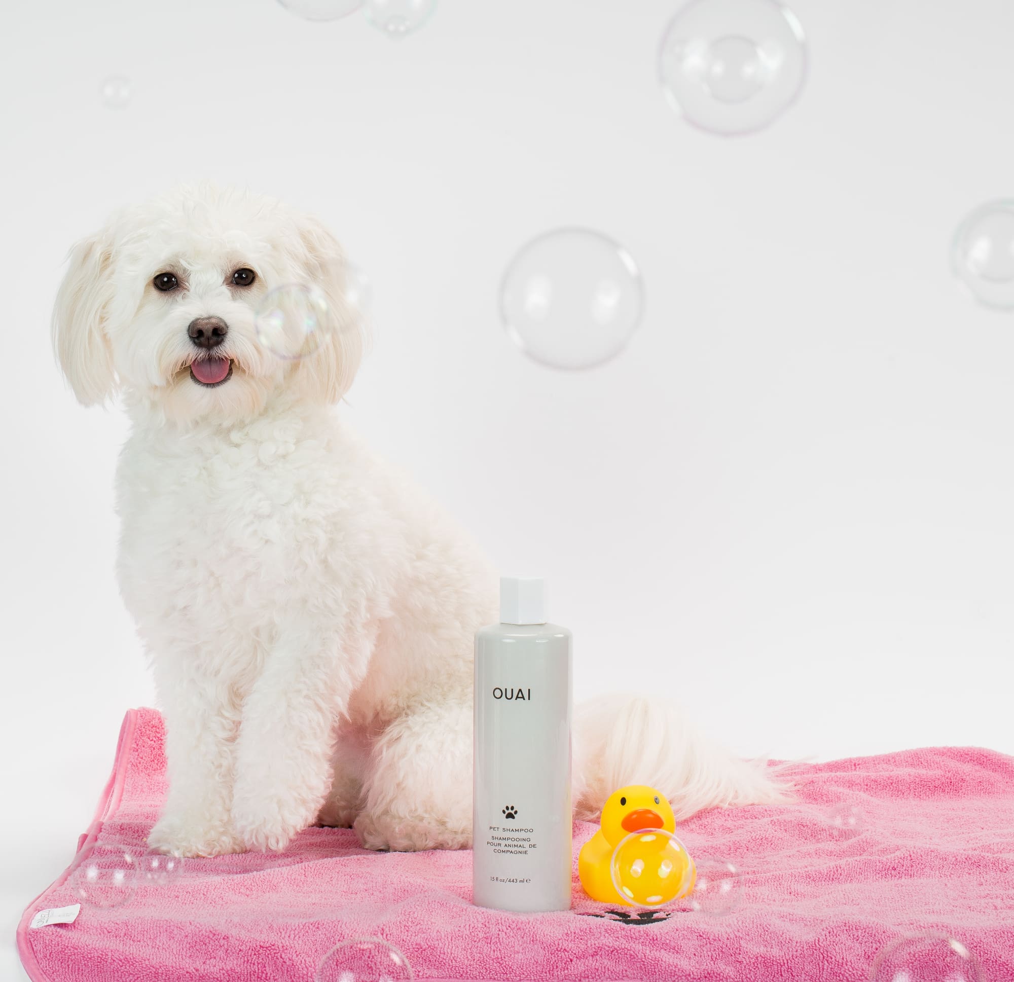 Adorable Photos Ouai Pet Shampoo By Celebrity Hair Stylist Jen Atkin