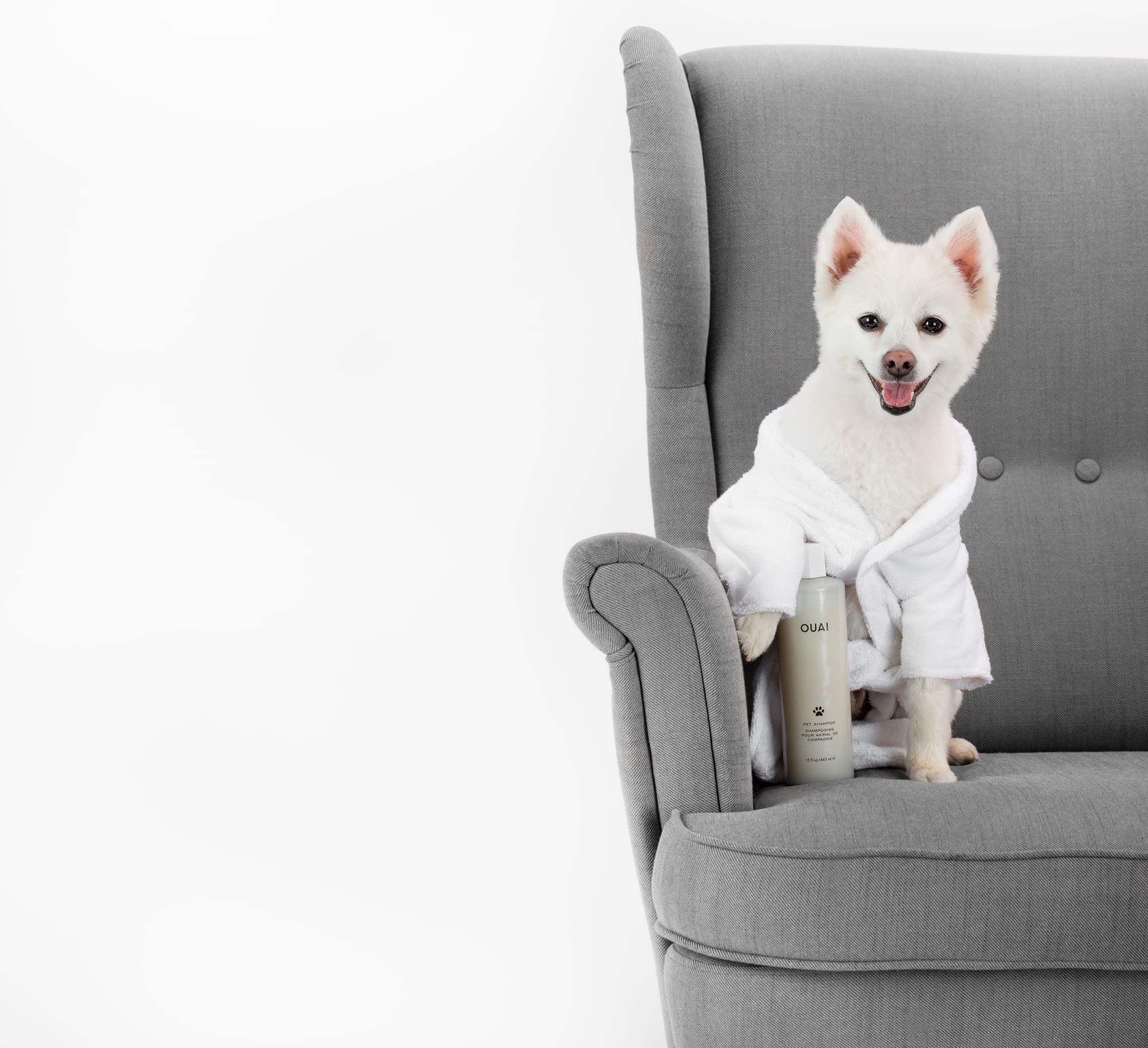 Adorable Photos Ouai Pet Shampoo By Celebrity Hair Stylist Jen Atkin