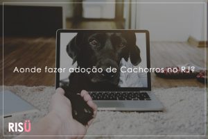 Doação de Cães Rj