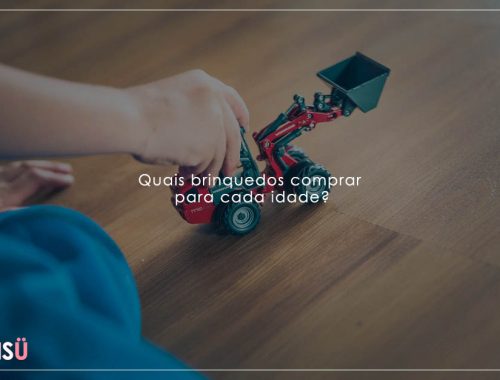 Lojas Americanas Brinquedos