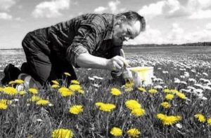 O que é terceiro setor