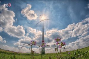 Empresas Sustentáveis