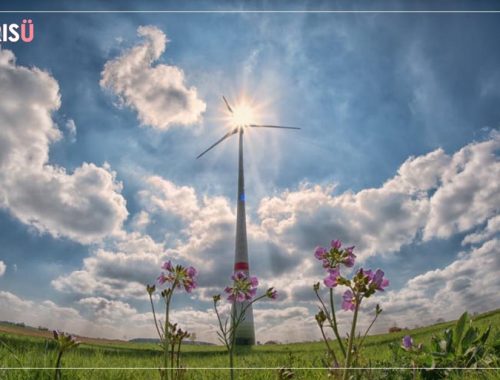 Empresas Sustentáveis