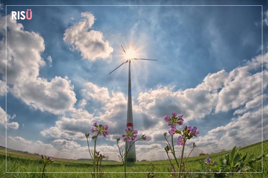 Empresas Sustentáveis