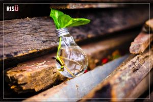 Marketing Social - imagem