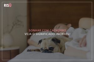 Sonhar com cachorro