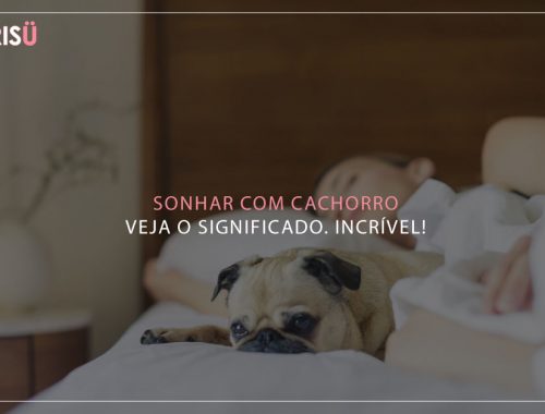 Sonhar com cachorro