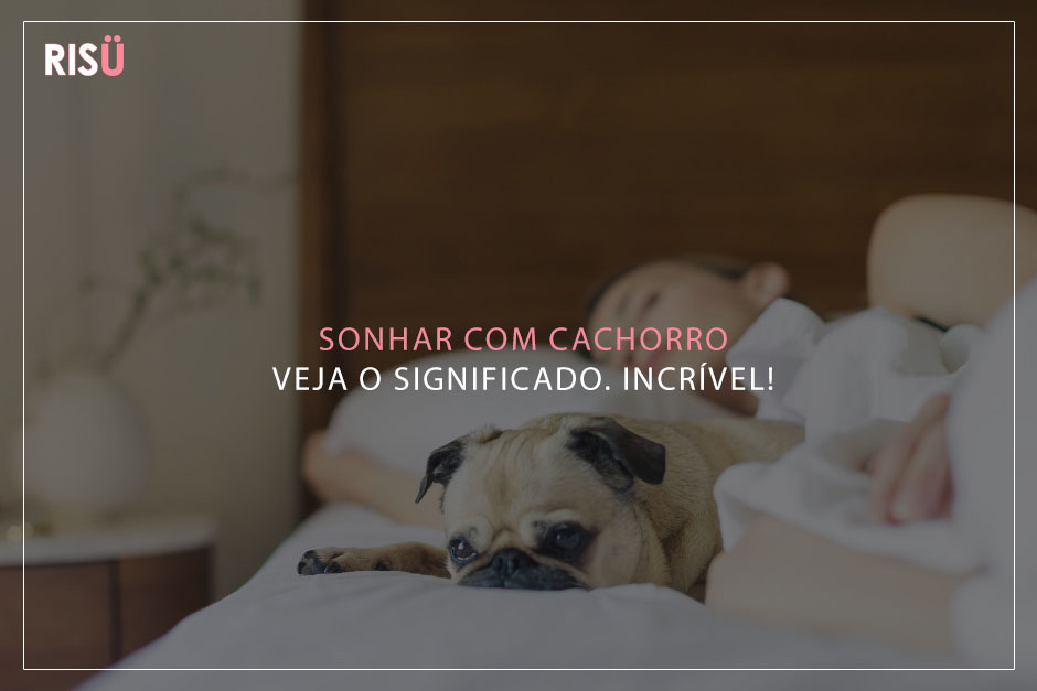 Sonhar com cachorro