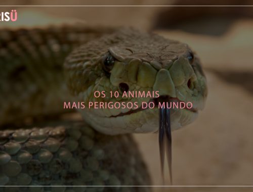 Animais mais perigosos do mundo