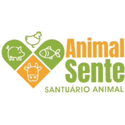 Animal Sente