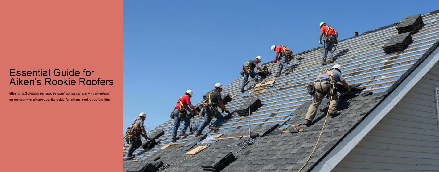Essential Guide for Aiken's Rookie Roofers