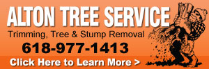 dfpads/300x100/altontreeservice-300x100.jpg