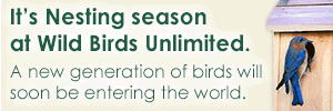 dfpads/300x100/wildbirdsunlimited_nestingseason_300x100_final.gif